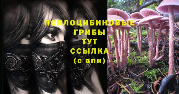 марки nbome Алзамай